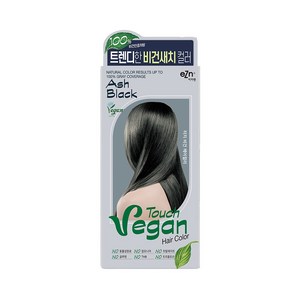 이지엔 터치 비건 헤어컬러 8컬러 신제품 새치컬러 식물성 수분 영양 자연 세럼타입 셀프염색, 2. 애쉬 블랙(잿빛흑갈색), 1개
