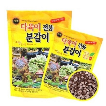 골든시티 다육이 선인장 분갈이흙 3리터 1개 리뷰후기