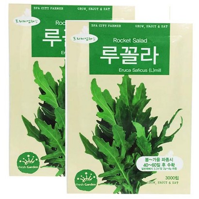 BFA 프리미엄 채소씨앗 루꼴라