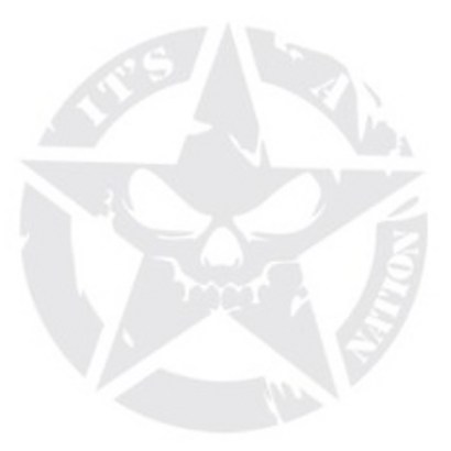 그리븐 자동차 레터링 데칼 스티커 50064 브라이트그레이- 50064