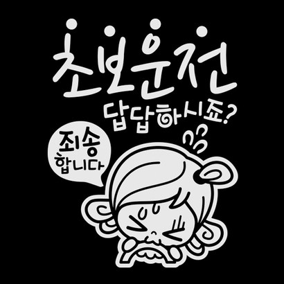 제제데코 초보운전스티커 초보답답 초순이