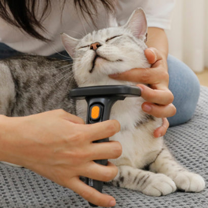 옥희독희 뽀송 고양이 죽은털 제거 브러쉬 장모단모 공용 95156