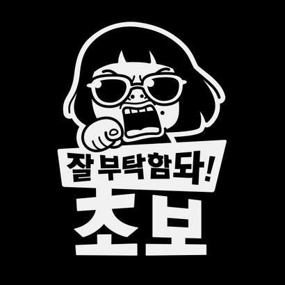 제제데코 초보운전스티커 잘부탁함돠초보