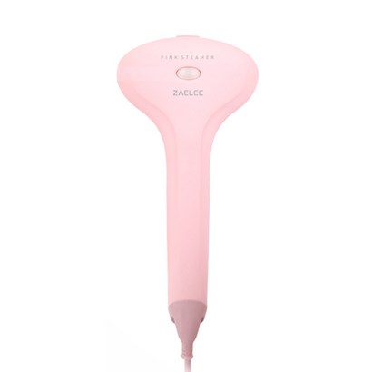자일렉 핑크 핸디 스팀다리미 리뷰후기
