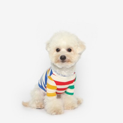 투스투스 컬러블럭 강아지 나그랑 티셔츠 리뷰후기