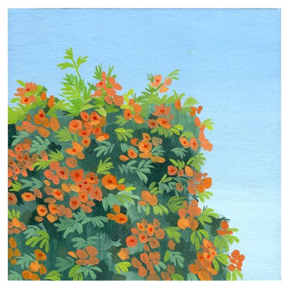 위모던 일러스트 그림 이랑 능소화 덤불 캔버스아트