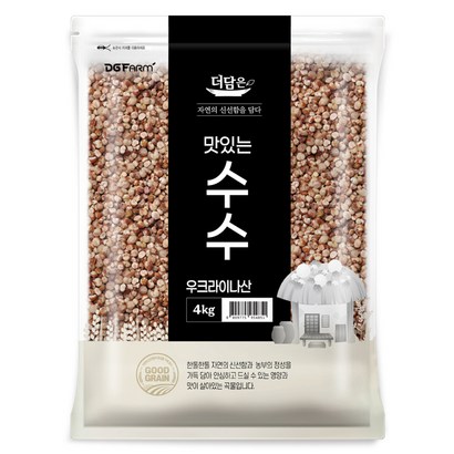 더담은 맛있는 수수
