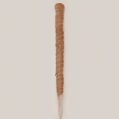 필플랜트 수태봉 화분 넝쿨식물 지지대 단독형