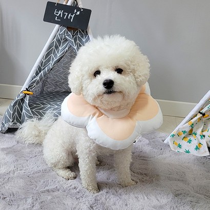 리스펫 반려동물 꽃개꽃냥 넥카라 핑크