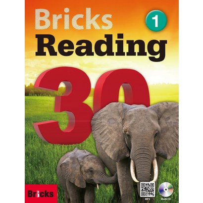 Bricks Readin 30 1