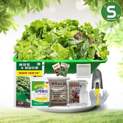 텃밭상자10종 화분 베란다 채소 키우기 텃밭세트