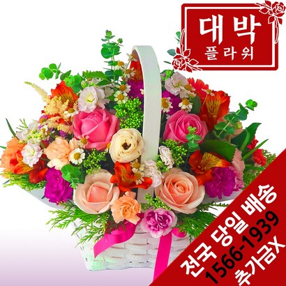 대박플라워 아기자기 꽃바구니 생일선물 기념일 출산꽃선물 병문안 꽃배달 리뷰후기