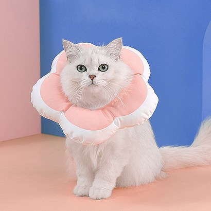 엔템 방수 강아지넥카라 강아지 고양이 넥쿠션 깔대기 넥카라 s