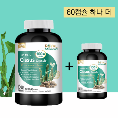 로얄 캐네디언 100배 시서스 차 분말 가루 알약 300 캡슐 0캡슐 살빼기 추천