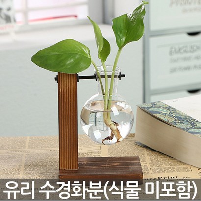 유리 수경화분세트 - 화분 수경화분 유리화분 인테리어화분 병 실내화분 투명화분 식물 유리병 수경재배 책상화분