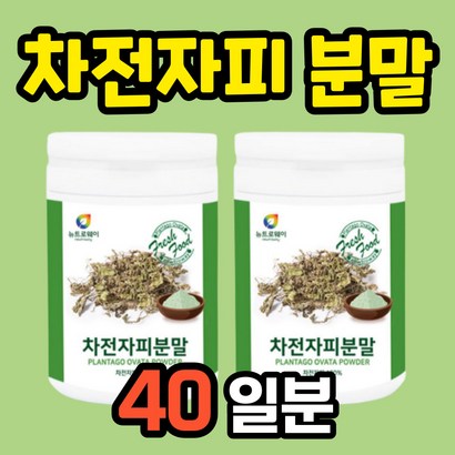 차전자 차전차피 차전자피 분말 가루 자전차피 차전피 식이섬유 섬유질 화이바 섬유소 화이버 식이섬유소