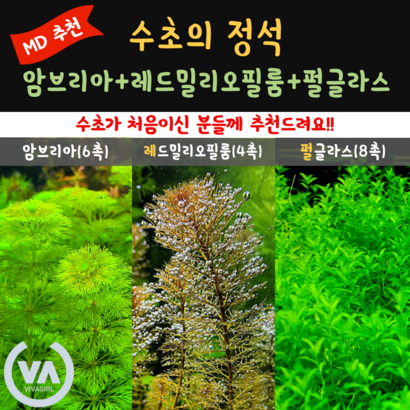 오픈이벤트 초보자를 위한 가성비 가심비 모두 잡은 유경3종 22촉 리뷰 후기