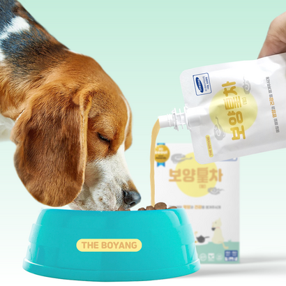 보양황차 건사료와 함께 하루 한포! 황태 칼로리 걱정없는 맛있는 보양 습식사료 만들기