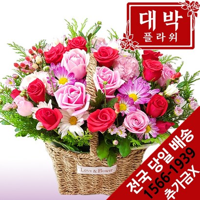 대박플라워 함께가자 꽃바구니 생일선물 기념일 출산꽃선물 병문안 꽃배달 리뷰후기