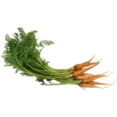 미니당근 꼬마당근 ini carrot 국내산 리뷰후기