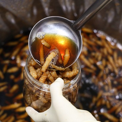 유리네 수제 초석잠 장아찌