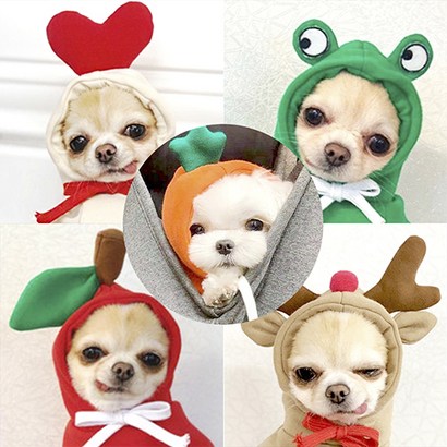 반려사이 강아지 고양이 기모 후드티 5종 리뷰후기