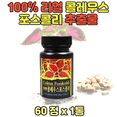 콜레우스 콜리우스 포스콜린 추출물 간편 정 포스콜리 자생 식물 콜레우스포스콜리 그대로 추출분말가루 알 약 형태