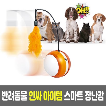 분리불안 강아지 고양이 장난감 자동 놀이기구 펫로봇