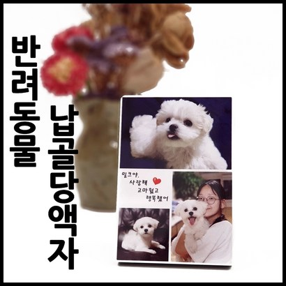 반려동물 납골당액자반려동물 봉안당액자반려동물 알루미늄액자