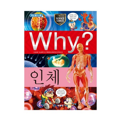 Why? 인체 리뷰후기