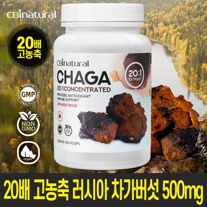 20배 고농축 러시아 차가버섯 120캡슐 4개월 캐나다 생산 본사직발송 /캐나다식약청 NN인증