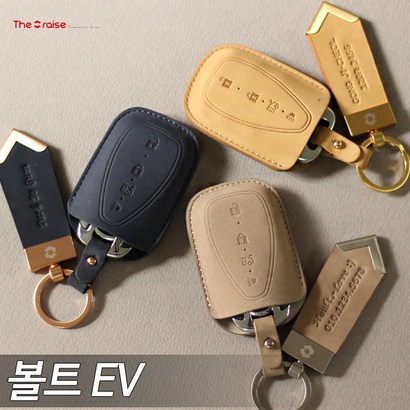 RAISE 누키노블 볼트EV 스마트키케이스 C-02 리뷰 후기