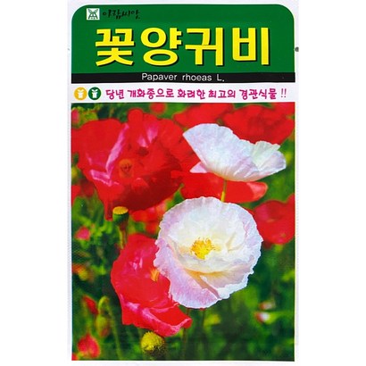 꽃양귀비 꽃씨앗 1000립