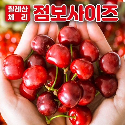 프리미엄 항공직송 칠레산 체리 미국산 생체리 워싱턴 캘리포니아 생과 제철 과일