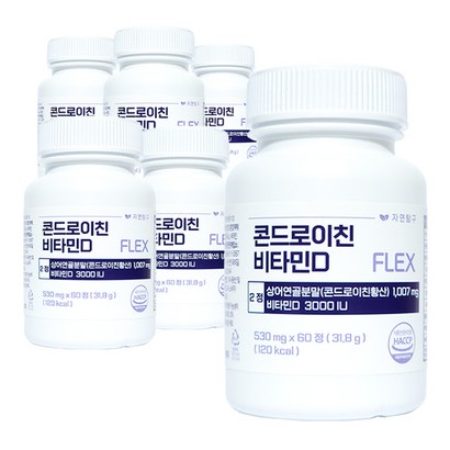 자연탐구 콘드로이친 비타민D 플렉스