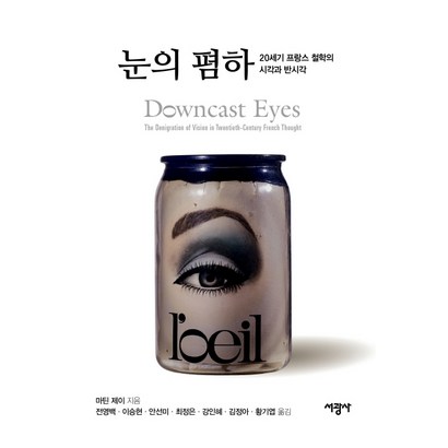눈의 폄하:20세기 프랑스 철학의 시각과 반시각