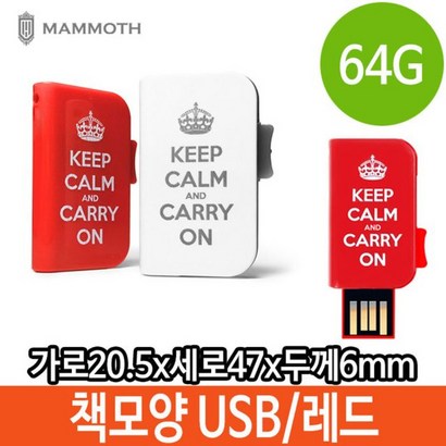 YRB221498메모리 USB 책모양 C 특이한 64기가 단체 로고