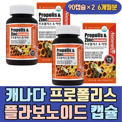 캐나다 프로폴리스 플라보노이드 건강기능식품 캡슐 ROOIS ZN 겨울철 식품 캡슐유아 40대 50대 여성 여자 남성 남자 온가족 부모님 홈쇼핑 하루 데일리