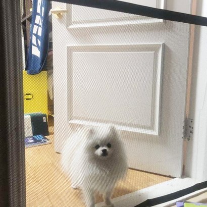 부착식 가정용 강아지 탈출방지 울타리팬스