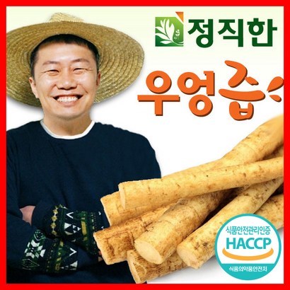 정직한건강즙 정직한 우엉즙 국내산