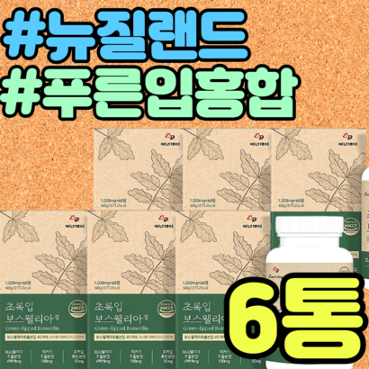 AKBA KBA 인도산 보스웰리아 우슬 치커리 비타민C