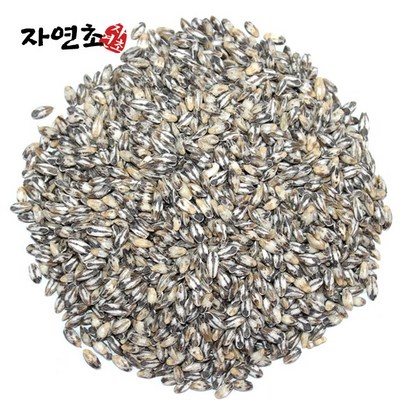 자연초 국산 검정보리 블랙보리 흑보리