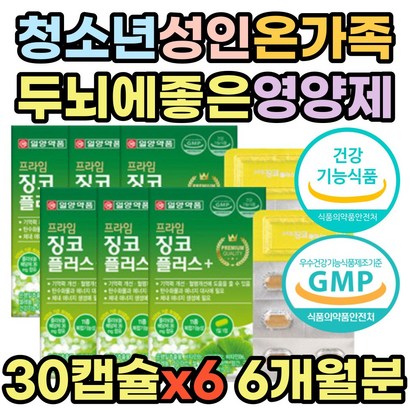 두뇌 뇌 브레인 기억력 건강 기능 식품 징코 빌로바 은행잎 추출물 INO BIOBA 비타민 B군 B복합체 비군 B컴플렉스 판토텐산 나이아신 수험생 청소년 고등학생 고3 추천