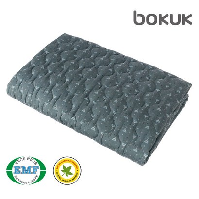 보국전자 에어셀 베이직 플로랄왈츠 전기요 싱글 BKB-8602S