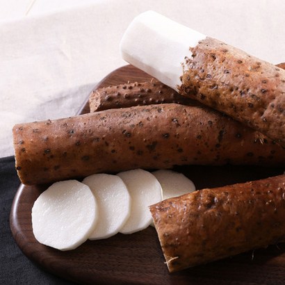 마사토 안동마 장마 왕특 리뷰후기