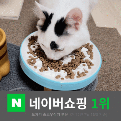 슬로우캣 도자기 다이어트 슬로우식기 강아지 고양이 급체방지식기