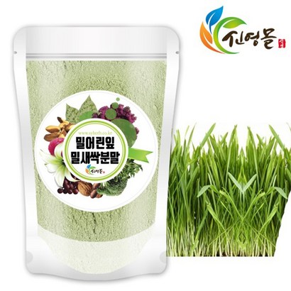 신영몰 밀싹 분말 가루 국산 밀어린잎