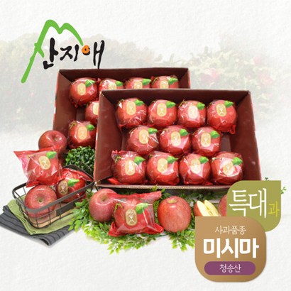 산지애 씻어나온 꿀사과 2box 청송산 미시마 당도선별