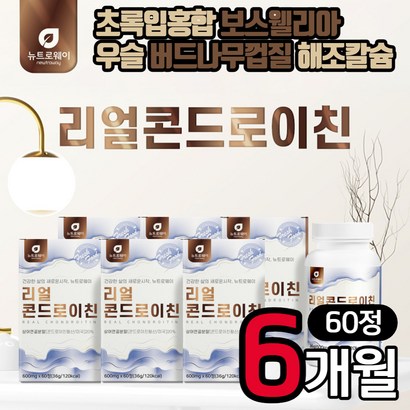뉴트로웨이 리얼 콘드로이친 60정 6개 상어연골분말 우슬 콘드로이친황산 보스웰리아 초록입홍합 해조칼슘 아연 마그네슘 버드나무껍질 비타민B2 콘드로이드 시어머니 시아버지 선물