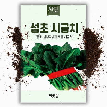 섬초 시금치씨앗 -동초 월동시금치 씨앗